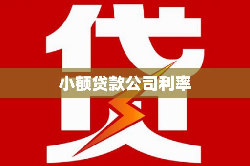 金华小额贷款公司利率