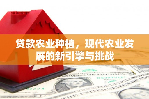金华贷款农业种植，现代农业发展的新引擎与挑战