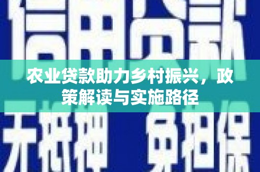 金华农业贷款助力乡村振兴，政策解读与实施路径