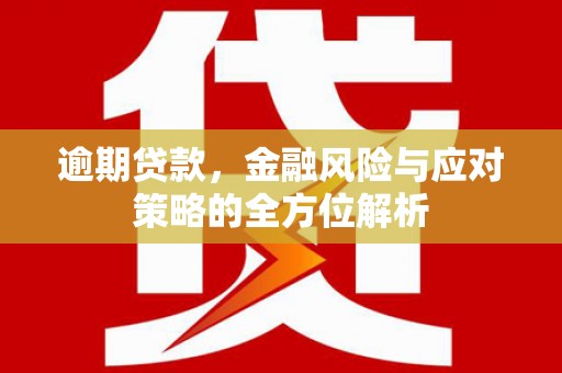 金华逾期贷款，金融风险与应对策略的全方位解析