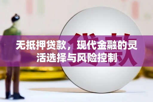 金华无抵押贷款，现代金融的灵活选择与风险控制