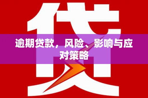 金华逾期贷款，风险、影响与应对策略