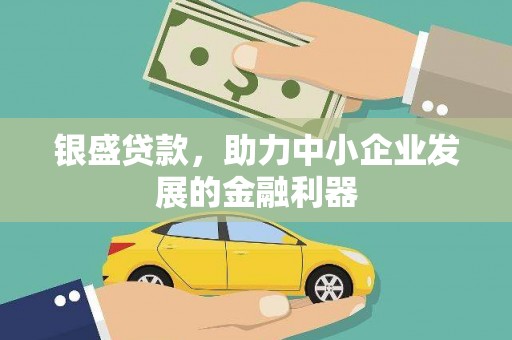 金华银盛贷款，助力中小企业发展的金融利器
