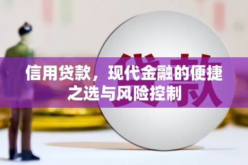 金华信用贷款，现代金融的便捷之选与风险控制