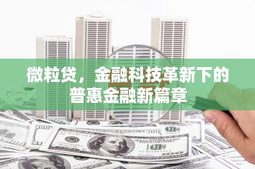 金华微粒贷，金融科技革新下的普惠金融新篇章