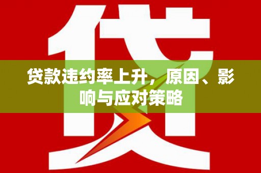 金华贷款违约率上升，原因、影响与应对策略