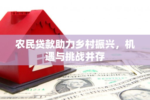 金华农民贷款助力乡村振兴，机遇与挑战并存