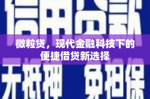 金华微粒贷，现代金融科技下的便捷借贷新选择