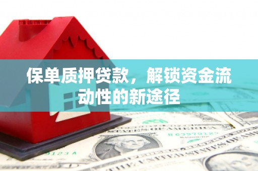 金华保单质押贷款，解锁资金流动性的新途径