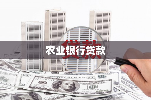 金华农业银行贷款