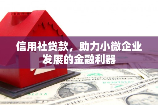 金华信用社贷款，助力小微企业发展的金融利器