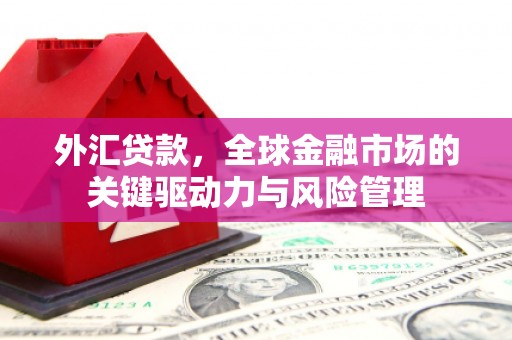 金华外汇贷款，全球金融市场的关键驱动力与风险管理