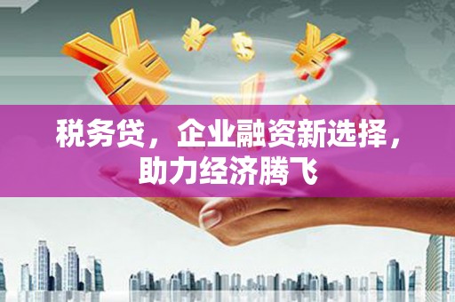 金华税务贷，企业融资新选择，助力经济腾飞
