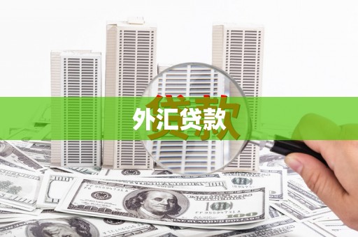 金华外汇贷款