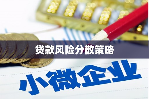 金华贷款风险分散策略