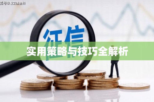 金华实用策略与技巧全解析