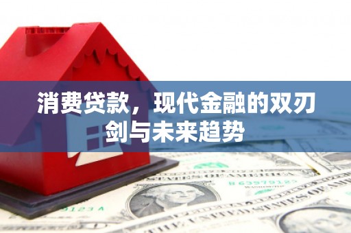 金华消费贷款，现代金融的双刃剑与未来趋势