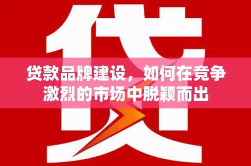金华贷款品牌建设，如何在竞争激烈的市场中脱颖而出
