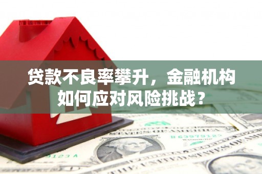 金华贷款不良率攀升，金融机构如何应对风险挑战？