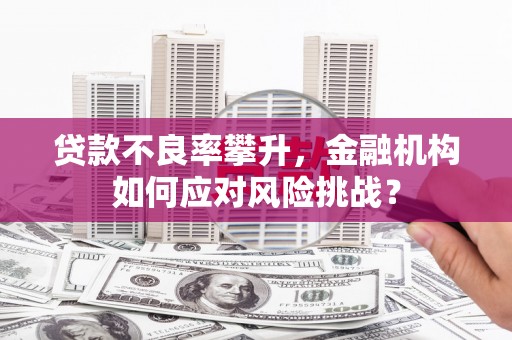 金华贷款不良率攀升，金融机构如何应对风险挑战？