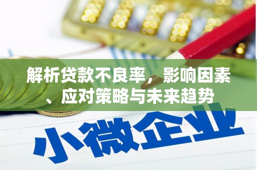 金华解析贷款不良率，影响因素、应对策略与未来趋势