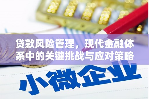 金华贷款风险管理，现代金融体系中的关键挑战与应对策略