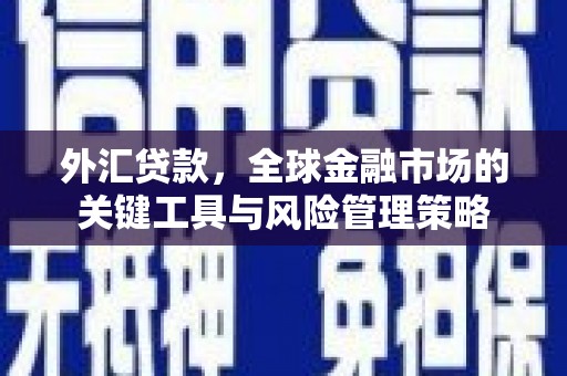 金华外汇贷款，全球金融市场的关键工具与风险管理策略
