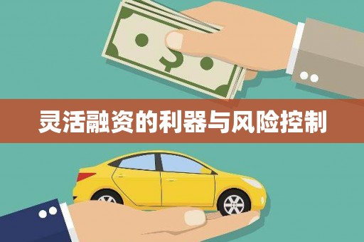 金华灵活融资的利器与风险控制