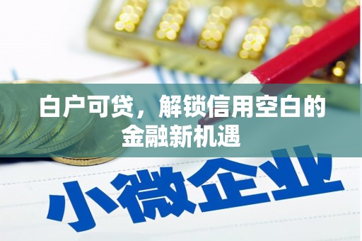 金华白户可贷，解锁信用空白的金融新机遇