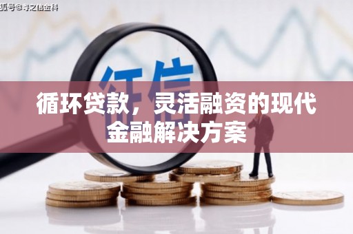 金华循环贷款，灵活融资的现代金融解决方案
