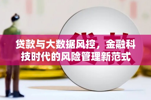金华贷款与大数据风控，金融科技时代的风险管理新范式