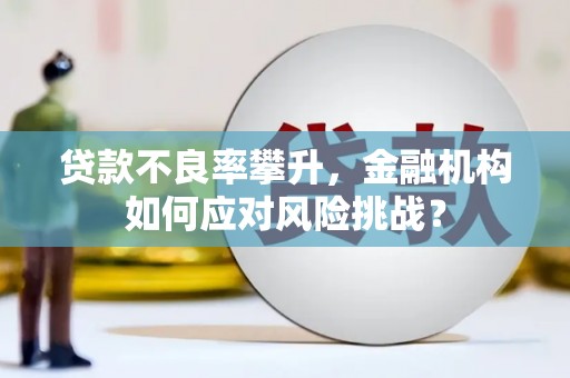 金华贷款不良率攀升，金融机构如何应对风险挑战？