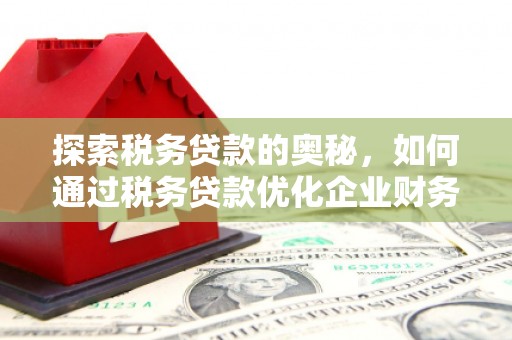 金华探索税务贷款的奥秘，如何通过税务贷款优化企业财务