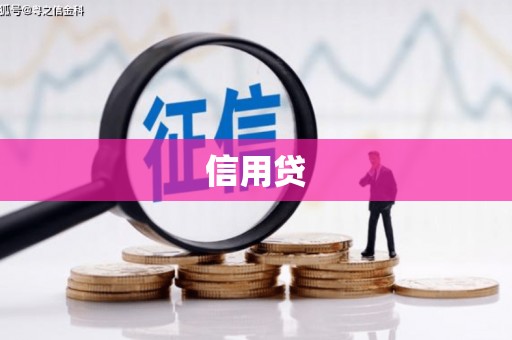 金华信用贷