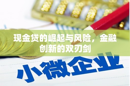 金华现金贷的崛起与风险，金融创新的双刃剑