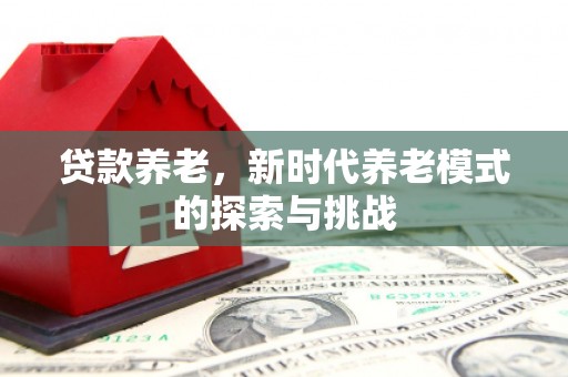 金华贷款养老，新时代养老模式的探索与挑战