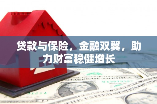 金华贷款与保险，金融双翼，助力财富稳健增长