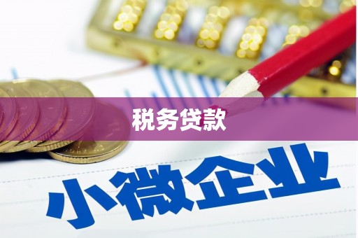 金华税务贷款