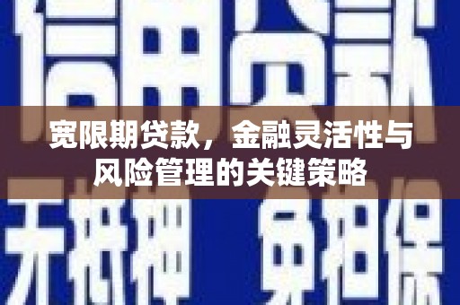 金华宽限期贷款，金融灵活性与风险管理的关键策略