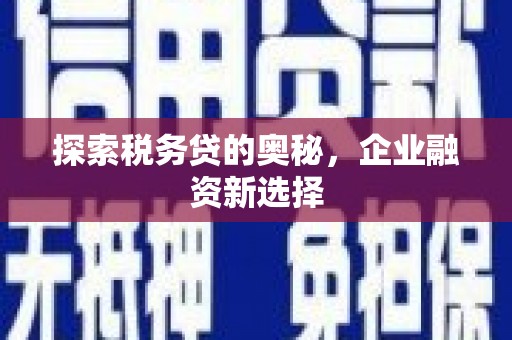 金华探索税务贷的奥秘，企业融资新选择