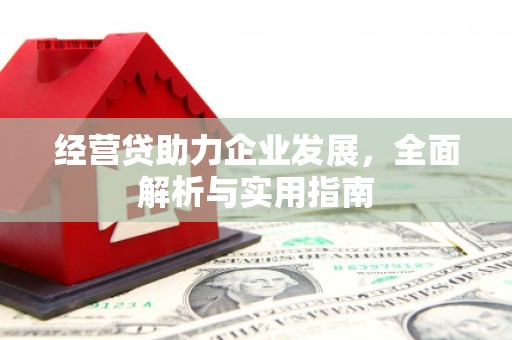 金华经营贷助力企业发展，全面解析与实用指南