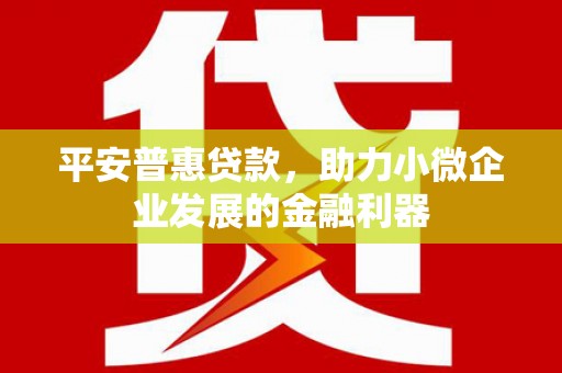 金华平安普惠贷款，助力小微企业发展的金融利器