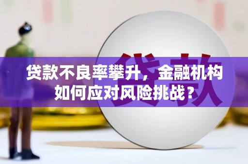 金华贷款不良率攀升，金融机构如何应对风险挑战？