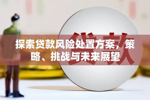 金华探索贷款风险处置方案，策略、挑战与未来展望