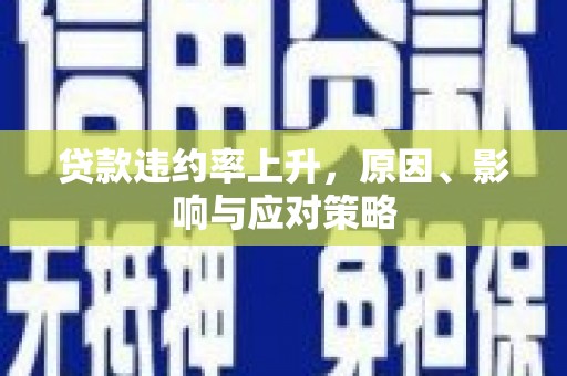 金华贷款违约率上升，原因、影响与应对策略