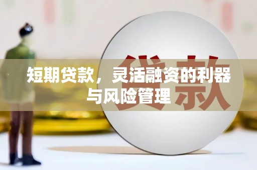 金华短期贷款，灵活融资的利器与风险管理