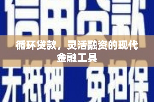 金华循环贷款，灵活融资的现代金融工具