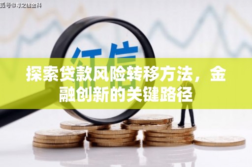 金华探索贷款风险转移方法，金融创新的关键路径