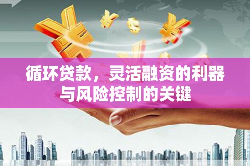金华循环贷款，灵活融资的利器与风险控制的关键
