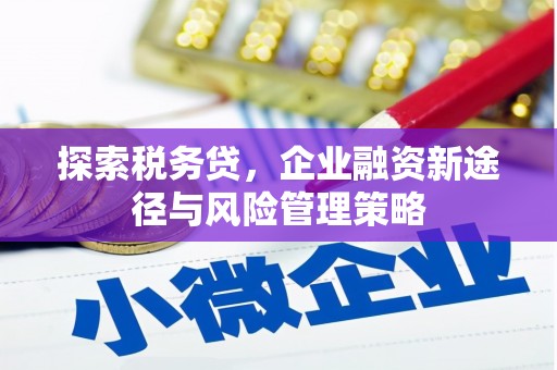 金华探索税务贷，企业融资新途径与风险管理策略